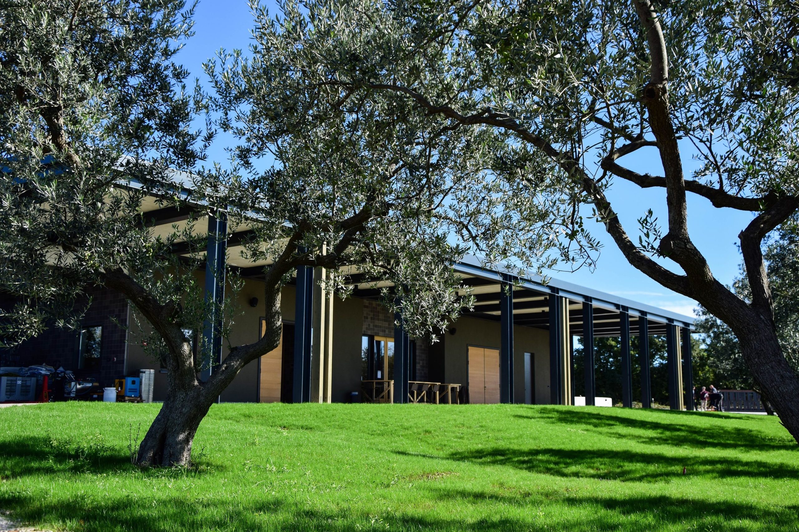 Hvor kommer vår olivenolje fra? — Familien Chiavalon